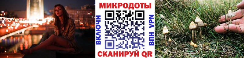 ОМГ ОМГ tor Зеленогорск Галлюциногенные грибы Cubensis купить наркоту